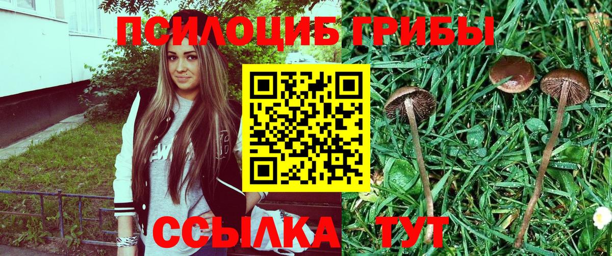 Псилоцибиновые грибы ЛСД Жигулёвск