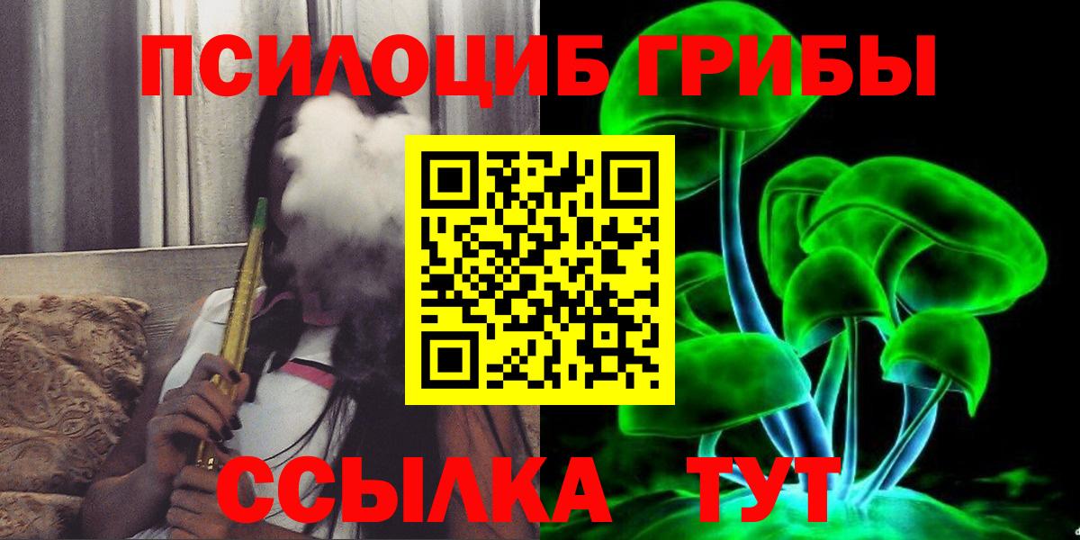 Псилоцибиновые грибы Psilocybe Жигулёвск