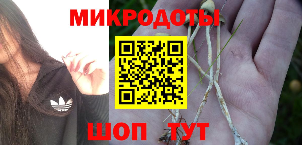 Жигулёвск  Псилоцибиновые грибы мухоморы  Вход с VPN  Галлюциногенные грибы Magic Shrooms 
